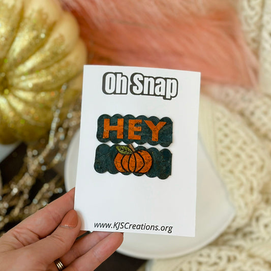 Hey pumpkin snap clip set